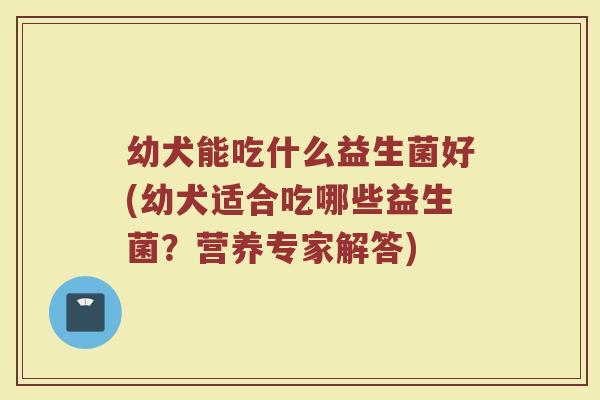 幼犬能吃什么益生菌好(幼犬适合吃哪些益生菌?营养专家解答) 幼犬能吃什么益生菌好(幼犬适合吃哪些益生菌?营养专家解答)