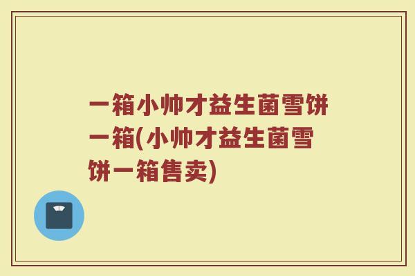一箱小帅才益生菌雪饼一箱(小帅才益生菌雪饼一箱售卖)