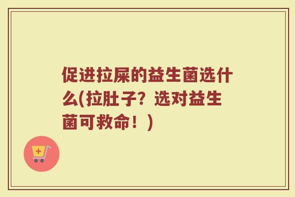 促进拉屎的益生菌选什么(拉肚子?选对益生菌可救命!)
