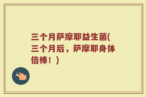 三个月萨摩耶益生菌(三个月后,萨摩耶身体倍棒!)