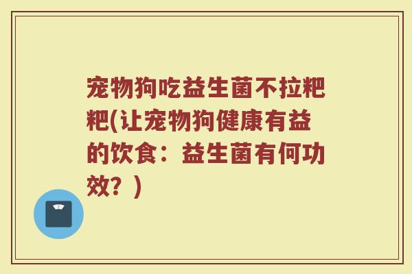 宠物狗吃益生菌不拉粑粑(让宠物狗健康有益的饮食:益生菌有何功效?)