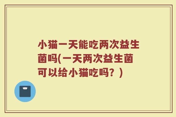 小猫一天能吃两次益生菌吗(一天两次益生菌可以给小猫吃吗？)