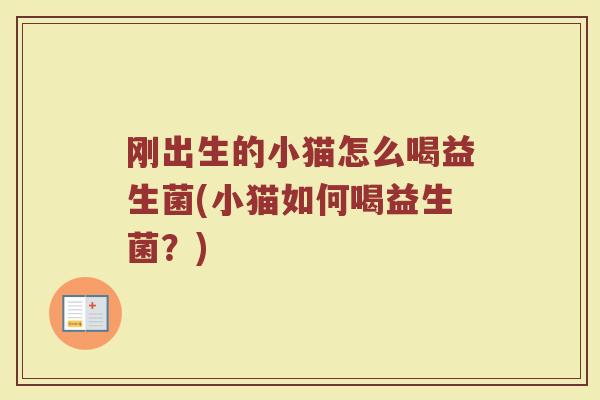 刚出生的小猫怎么喝益生菌(小猫如何喝益生菌?)