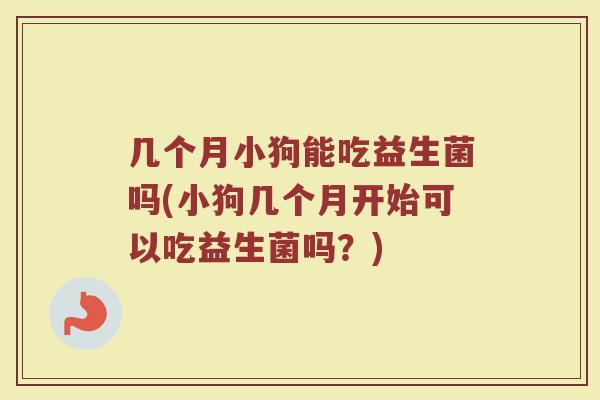 几个月小狗能吃益生菌吗(小狗几个月开始可以吃益生菌吗?)