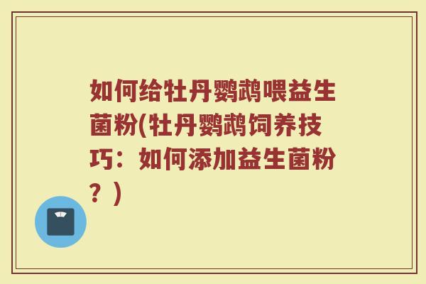 如何给牡丹鹦鹉喂益生菌粉(牡丹鹦鹉饲养技巧:如何添加益生菌粉?)