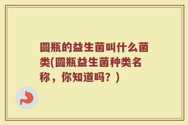 圆瓶的益生菌叫什么菌类(圆瓶益生菌种类名称,你知道吗?)