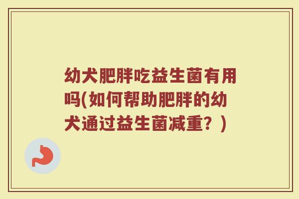 幼犬肥胖吃益生菌有用吗(如何帮助肥胖的幼犬通过益生菌减重?)
