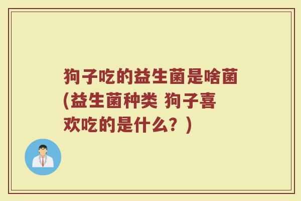 狗子吃的益生菌是啥菌(益生菌种类 狗子喜欢吃的是什么?)