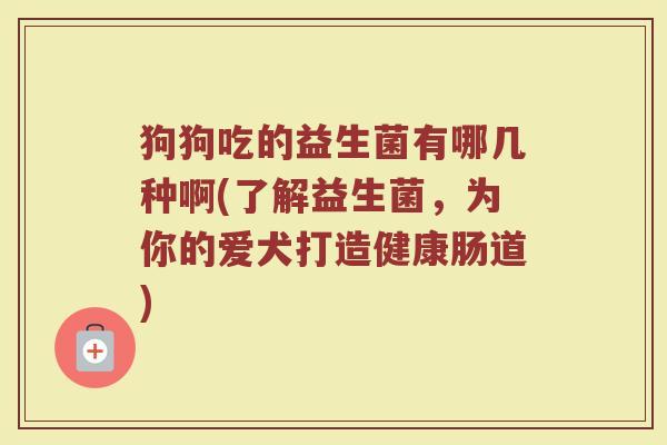 狗狗吃的益生菌有哪几种啊(了解益生菌,为你的爱犬打造健康肠道)