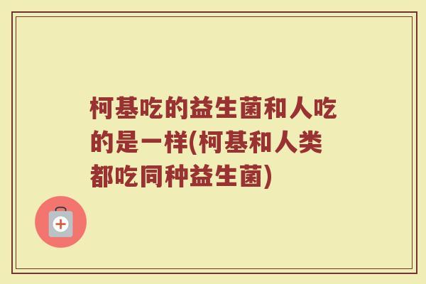 柯基吃的益生菌和人吃的是一样(柯基和人类都吃同种益生菌)