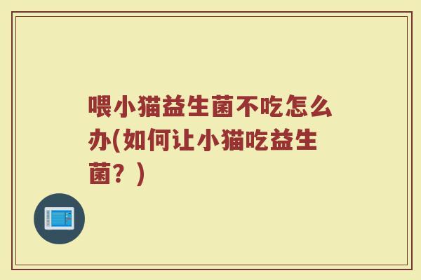 喂小猫益生菌不吃怎么办(如何让小猫吃益生菌?)