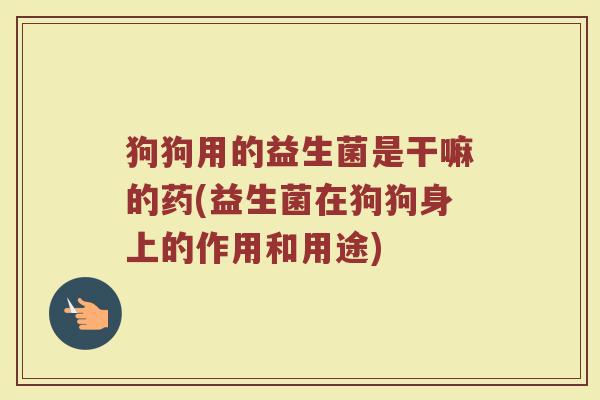 狗狗用的益生菌是干嘛的药(益生菌在狗狗身上的作用和用途)