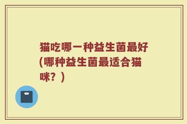 猫吃哪一种益生菌最好(哪种益生菌最适合猫咪？)