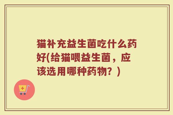 猫补充益生菌吃什么药好(给猫喂益生菌,应该选用哪种药物?)