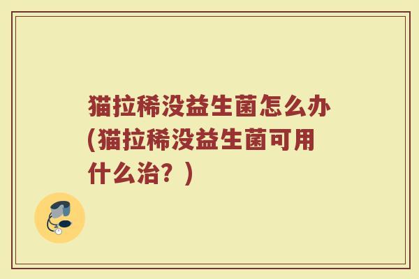 猫拉稀没益生菌怎么办(猫拉稀没益生菌可用什么治？)