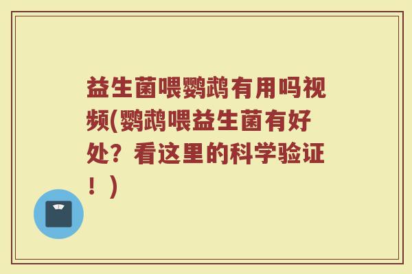 益生菌喂鹦鹉有用吗视频(鹦鹉喂益生菌有好处?看这里的科学验证!)