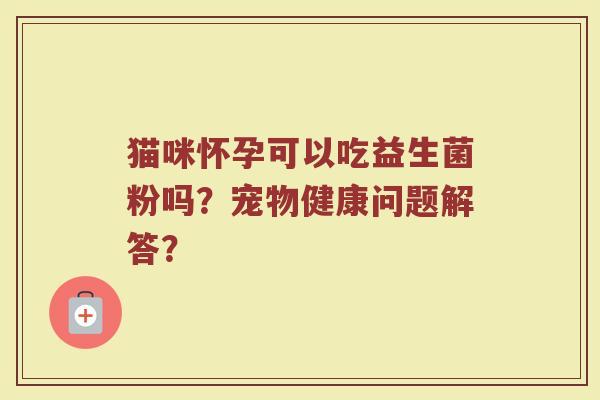猫咪怀孕可以吃益生菌粉吗?宠物健康问题解答?
