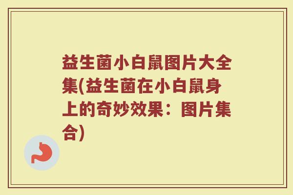 益生菌小白鼠图片大全集(益生菌在小白鼠身上的奇妙效果:图片集合)