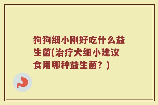 狗狗细小刚好吃什么益生菌(治疗犬细小建议食用哪种益生菌?)