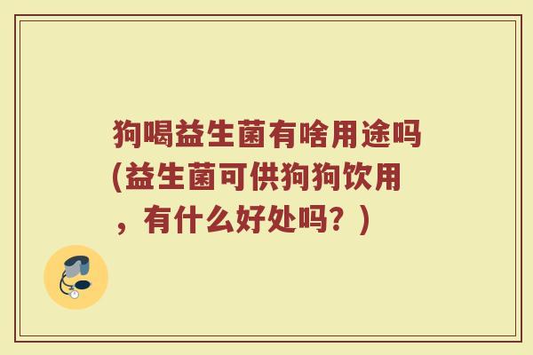 狗喝益生菌有啥用途吗(益生菌可供狗狗饮用,有什么好处吗?)