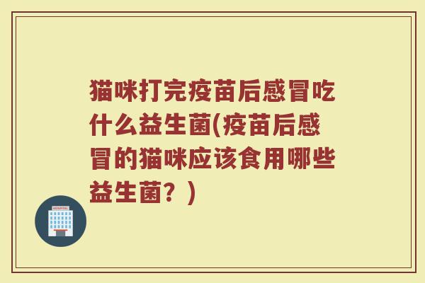 猫咪打完疫苗后感冒吃什么益生菌(疫苗后感冒的猫咪应该食用哪些益生菌?)