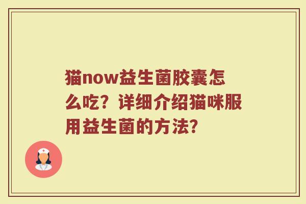 猫now益生菌胶囊怎么吃?详细介绍猫咪服用益生菌的方法?