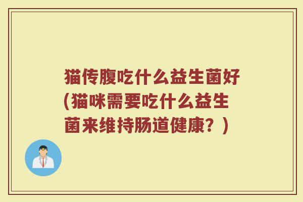 猫传腹吃什么益生菌好(猫咪需要吃什么益生菌来维持肠道健康?)