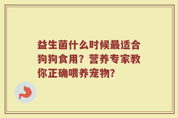 益生菌什么时候最适合狗狗食用？营养专家教你正确喂养宠物？