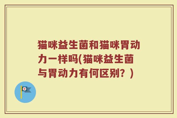 猫咪益生菌和猫咪胃动力一样吗(猫咪益生菌与胃动力有何区别?)