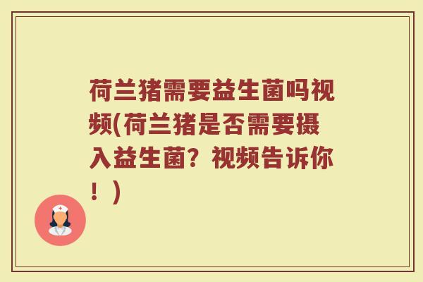 荷兰猪需要益生菌吗视频(荷兰猪是否需要摄入益生菌?视频告诉你!)