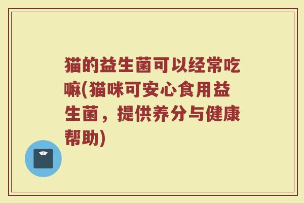 猫的益生菌可以经常吃嘛(猫咪可安心食用益生菌,提供养分与健康帮助)