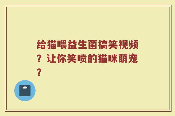 给猫喂益生菌搞笑视频?让你笑喷的猫咪萌宠? 给猫喂益生菌搞笑视频?让你笑喷的猫咪萌宠?