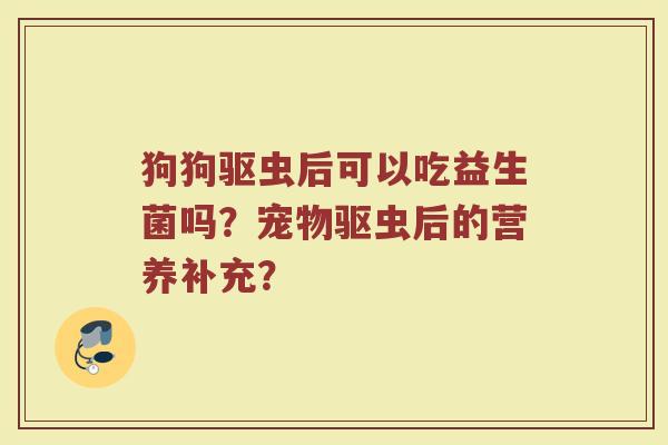 狗狗驱虫后可以吃益生菌吗?宠物驱虫后的营养补充?