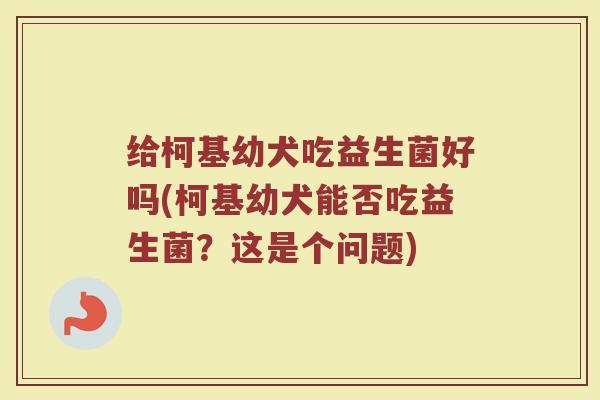 给柯基幼犬吃益生菌好吗(柯基幼犬能否吃益生菌?这是个问题)