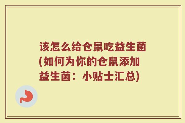该怎么给仓鼠吃益生菌(如何为你的仓鼠添加益生菌:小贴士汇总) 该怎么给仓鼠吃益生菌(如何为你的仓鼠添加益生菌:小贴士汇总)
