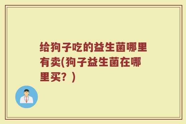 给狗子吃的益生菌哪里有卖(狗子益生菌在哪里买?)