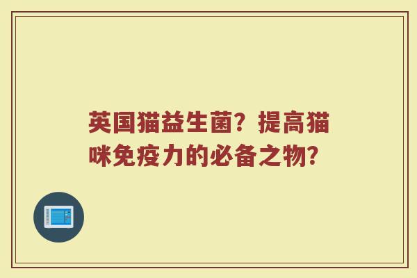 英国猫益生菌?提高猫咪免疫力的必备之物?
