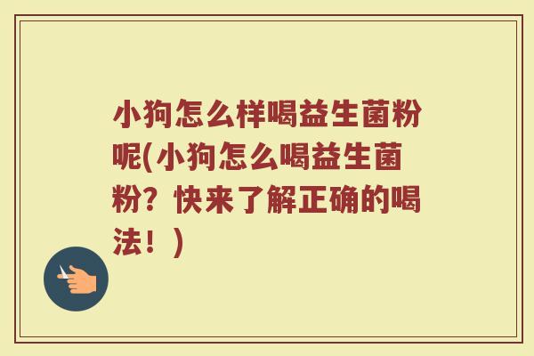 小狗怎么样喝益生菌粉呢(小狗怎么喝益生菌粉?快来了解正确的喝法!)