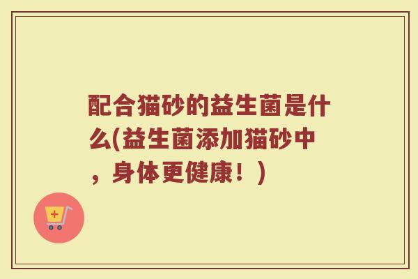 配合猫砂的益生菌是什么(益生菌添加猫砂中,身体更健康!)