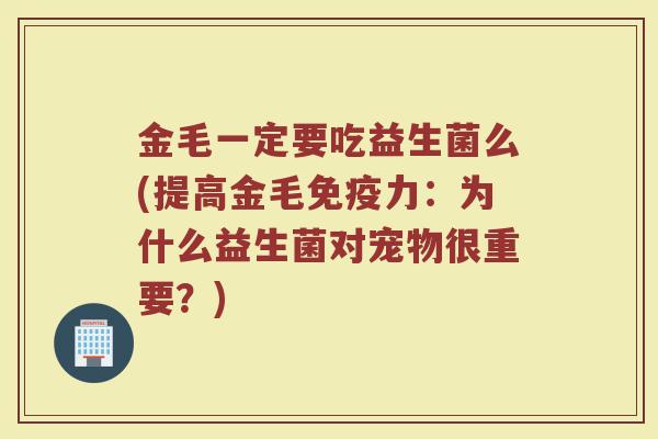 金毛一定要吃益生菌么(提高金毛免疫力:为什么益生菌对宠物很重要?)