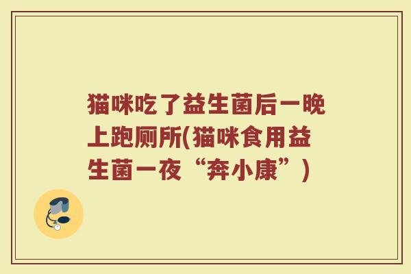 猫咪吃了益生菌后一晚上跑厕所(猫咪食用益生菌一夜“奔小康”)