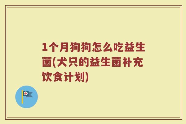 1个月狗狗怎么吃益生菌(犬只的益生菌补充饮食计划)