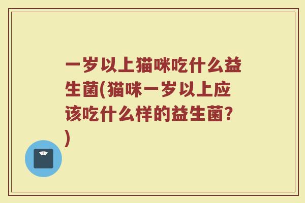 一岁以上猫咪吃什么益生菌(猫咪一岁以上应该吃什么样的益生菌?)