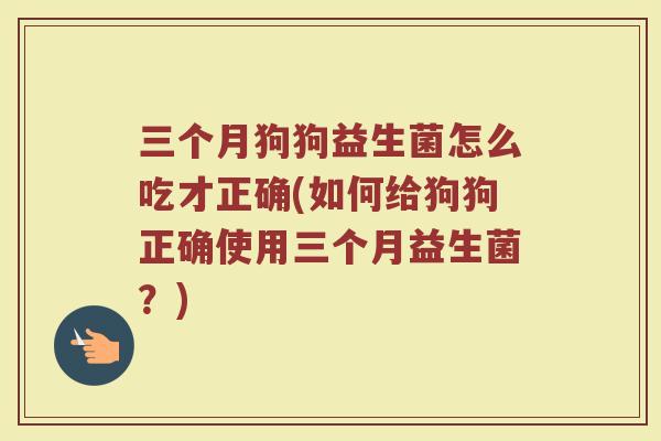 三个月狗狗益生菌怎么吃才正确(如何给狗狗正确使用三个月益生菌?)