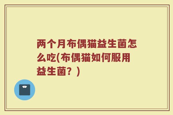 两个月布偶猫益生菌怎么吃(布偶猫如何服用益生菌?)