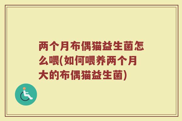 两个月布偶猫益生菌怎么喂(如何喂养两个月大的布偶猫益生菌)