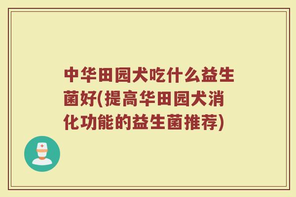 中华田园犬吃什么益生菌好(提高华田园犬消化功能的益生菌推荐)