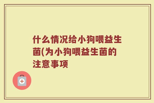 什么情况给小狗喂益生菌(为小狗喂益生菌的注意事项