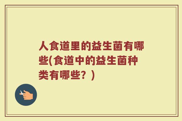 人食道里的益生菌有哪些(食道中的益生菌种类有哪些?)