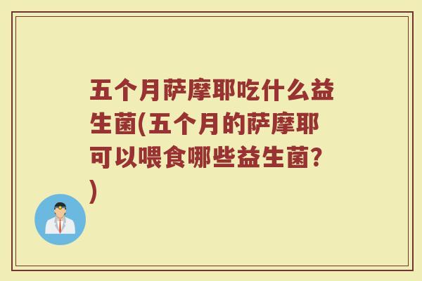 五个月萨摩耶吃什么益生菌(五个月的萨摩耶可以喂食哪些益生菌?)